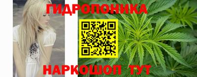 прущие крисы Краснодар