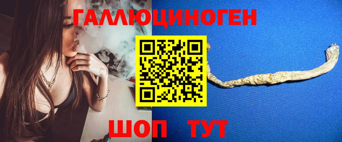 Псилоцибиновые грибы мицелий  Вход с VPN  Псилоцибиновые грибы мицелий  Владимир 