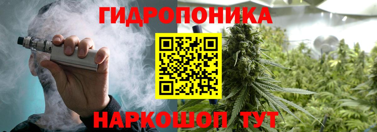 Конопля индика Владимир
